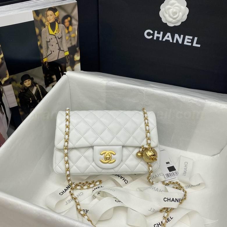 Chanel Handbags 133